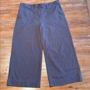 LOFT Women’s Wide Leg Cropped Chino Pants Gray Size 14 High Rise Cotton Stretch